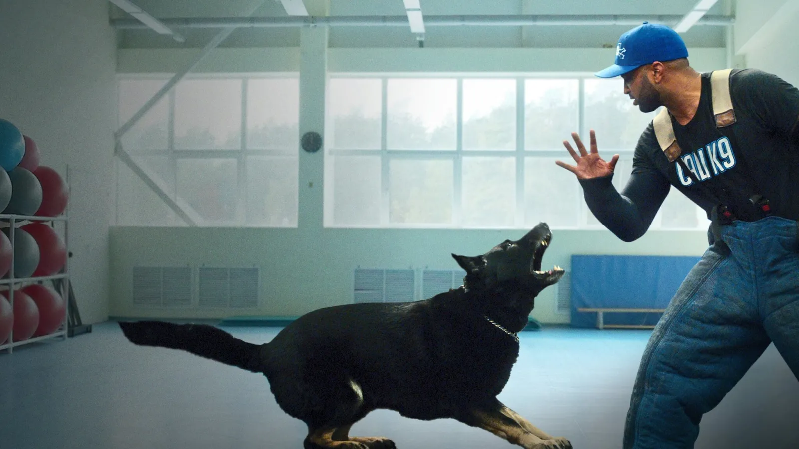 Canine Intervention streaming ita